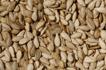 Dry pumpkin seeds ready for planting, seeds background.