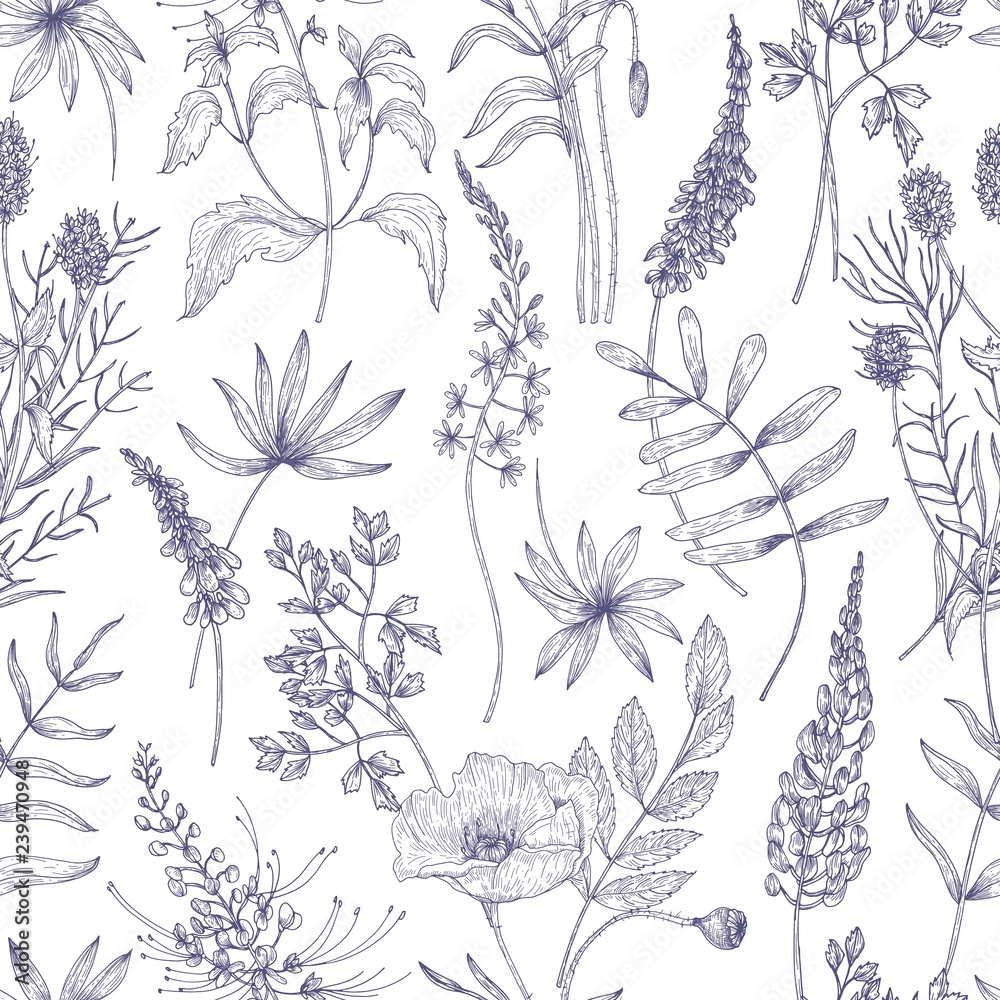 Poster natural seamless pattern with wild blooming flowers and flowering herbs drawn with contour lines on 