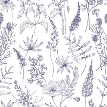 Natural seamless pattern with wild blooming flowers and flowering herbs drawn with contour lines on white background. Realistic botanical vector illustration in vintage style for wrapping paper.