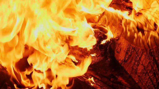 Extreme close up of burning bee hive infected with American Foulbrood Disease