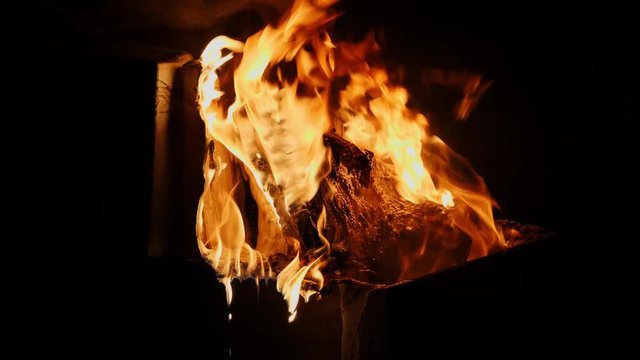 Burning bee hive box with infectious disease collapsing in flames