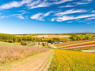 Panoramic colorful flower field in Shikisai-no-oka, Biei, Hokkaido, Japan. Vivid flower streak pattern attracts visitors. It is a very popular spot that can not be missed if sightseeing in Hokkaido.