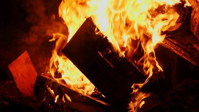 Burning bee hive boxes collapsed in flames to kill AFB colony in New Zealand