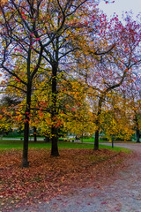 Naklejka premium Milan, Italy Indro Montanelli park, autumn leaves
