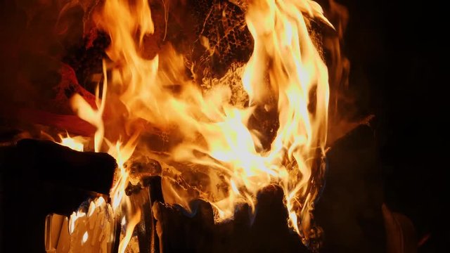 Diseased burning bee hive collapsing in flames to prevent foulbrood spread