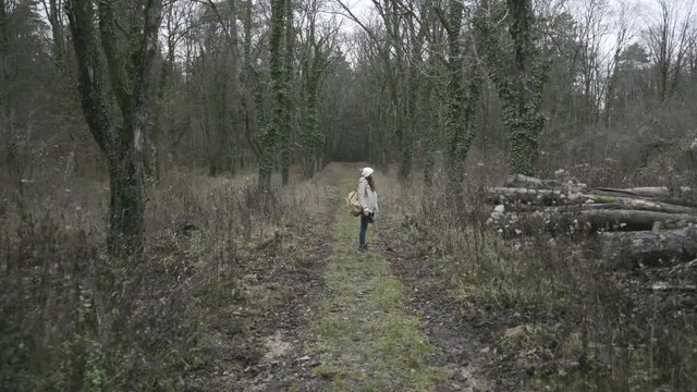 A girl standing in the middle of a forest road watching tree trunks on the grown just cutted this automn in France