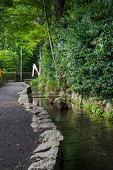国分寺市 お鷹の道の風景