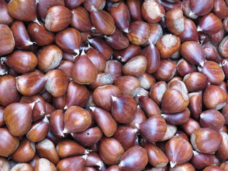 Delicious chestnuts very appealing with a magnificent color