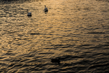 Como, Italy - Lake Como sunset