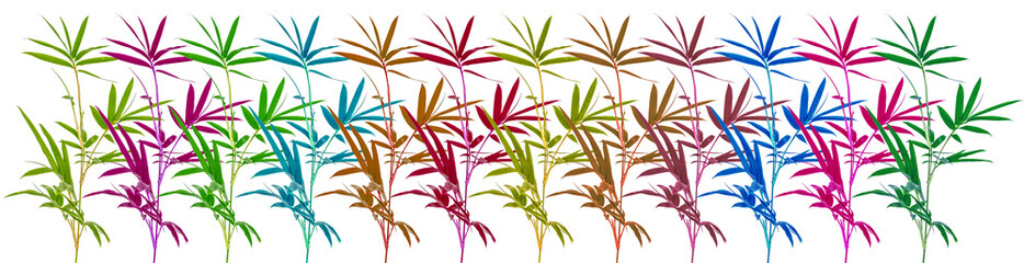 frise bambous couleurs, fond blanc 