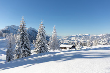 Winter in mountains. Landscape with snowy forest and traditional alpine chalet. Sunny frosty weather with clear blue sky