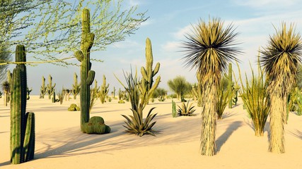 Sunset in the Desert with Cacti 3d rendering