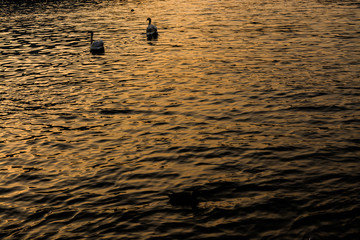 Como, Italy - Lake Como sunset
