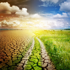 The road separating the desert and the oasis. Concept on ecology, Global warming, climate and...