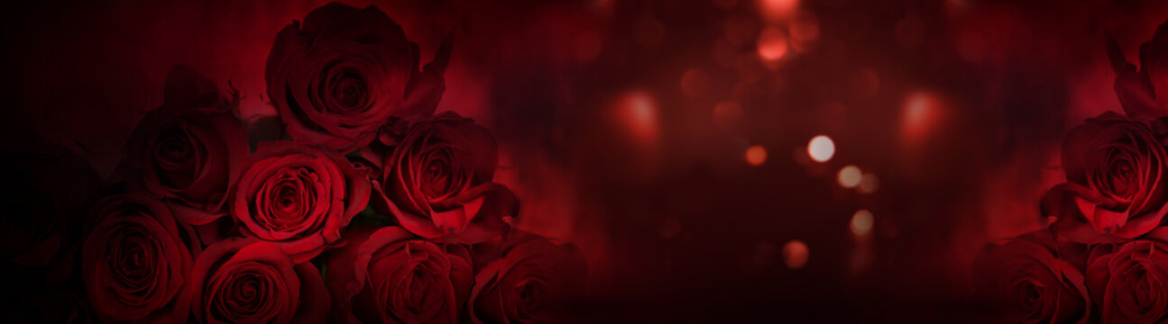 Dark red roses background