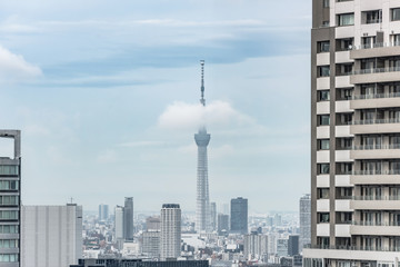 Fototapeta premium Japan cityscape with the Skytree