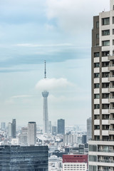Fototapeta na wymiar Japan cityscape with the Skytree
