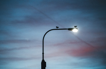 A street light against cloudy twilight background.