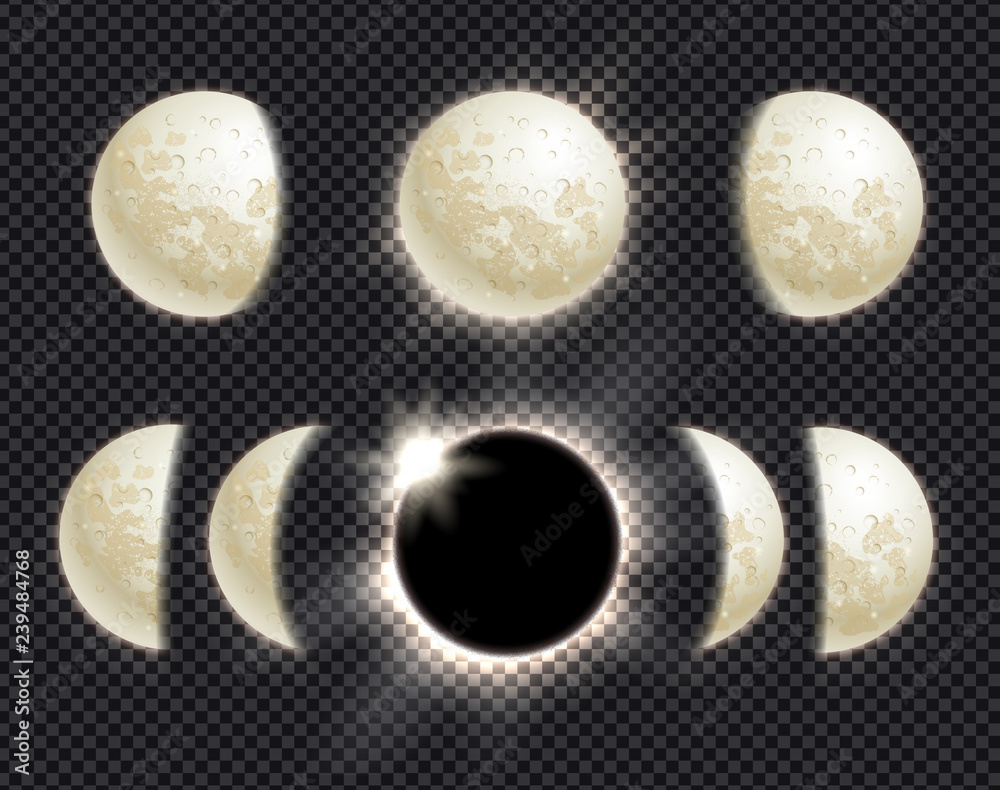 Wall mural vector set of moon phases and eclipse