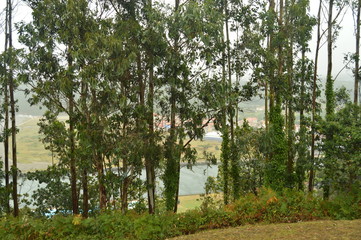 San Juan From The Sand And His Ria Through The Trees At A Lookout On A Rainy Day. July 30, 2015. Landscapes, Nature, Travel. San Juan De La Arena, Asturias, Spain.