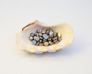 A sea shell valve, containing numerous button batteries, isolated on white background
