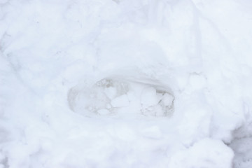 Snow cover deep white grey gray winter trace