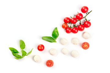 Mozzarella cheese balls with fresh basil leaves and cherry tomatoes, the ingredients of the Italian...