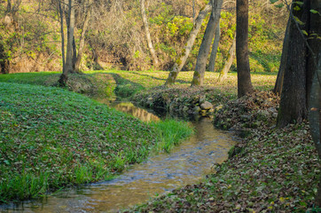 A small stream with clear water flows through the clean autumn park.