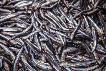 fish, food, market, fresh, seafood, sea, fishing, raw, healthy, animal, red, mackerel, freshness, cooking, ice, nutrition, catch, closeup, ocean, mullet, silver, delicious, meal, ingredient, fish mark