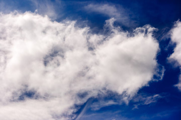 lush white cumulus clouds swim across the blue sky