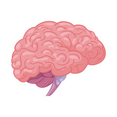 Vector illustration of body and human icon. Set of body and medical vector icon for stock.