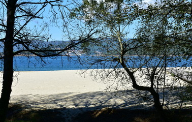 Fototapeta na wymiar Beach in a bay with white sand, trees and blue sea. Galicia, Spain.