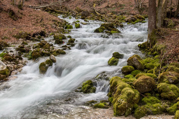 Fototapeta premium beautiful small river