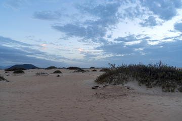 Morning view of Corralejo beach on Fuerteventura, Canary Islands, Spain