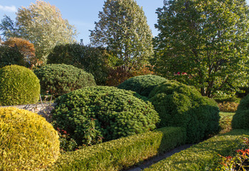 Cottage garden with green lawn, trees and trimmed bushes.