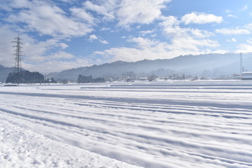 Fototapeta na wymiar 晴れた日の雪原