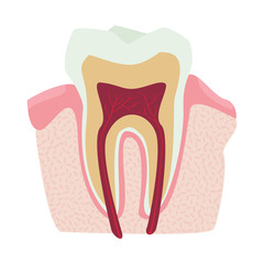 Vector design of body and human sign. Set of body and medical vector icon for stock.