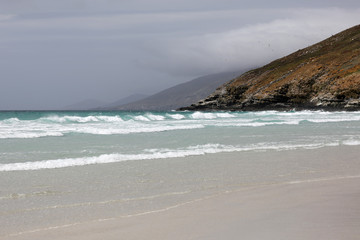 Landscape in The Neck on Saunders Island on Falkland Islands