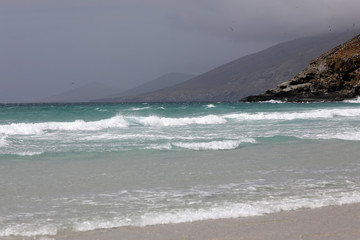 Landscape in The Neck on Saunders Island on Falkland Islands