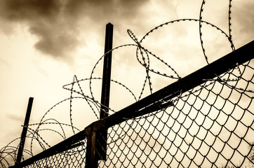 Barbed wire fence