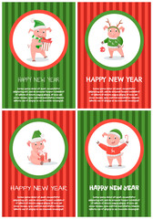 New Year Small Piglet Playing with Bauble Toy