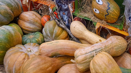 Many large orange pumpkins lie in the straw. Autumn street decoration. Autumn harvest of pumpkins...