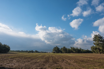 Fototapeta premium Plowed Field Surrounded by Trees Under Rainy Sky