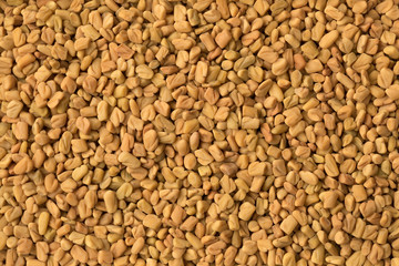 Yellow fenugreek seeds
