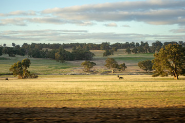 Landscape of Perth outback going to York sunset colors
