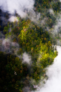 Flying over the forest through the gaps of clouds