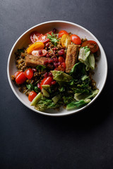 Vegetarian lentil salad with fried cheese, greens and fresh vegeables