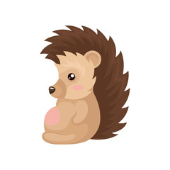 Cute lovely hedgehog sitting, prickly animal cartoon character vector Illustration on a white background