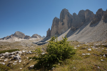 Tre Cime di Lavaredo and its environment in a summer day