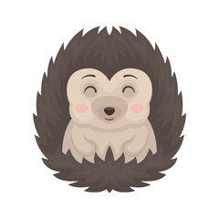 Lovely hedgehog animal cartoon character with funny face vector Illustration on a white background